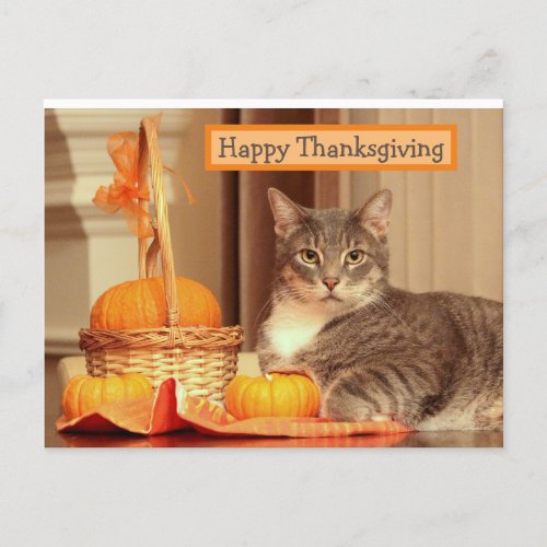 Happy Thanksgiving with Cat Greeting Card