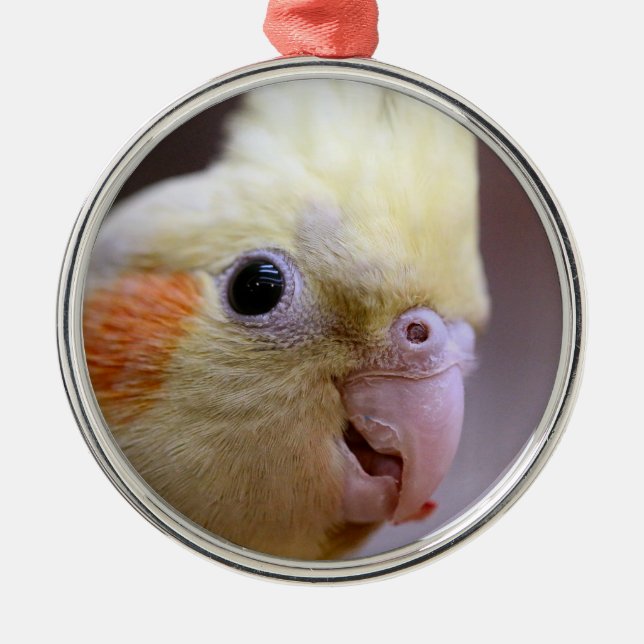 Happy tiel metal ornament (Front)