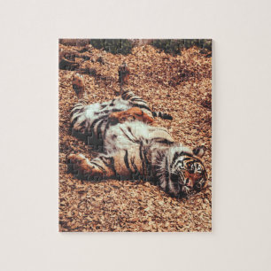 Happy Tiger Belly Up Rolling in Leaves Jigsaw Puzzle