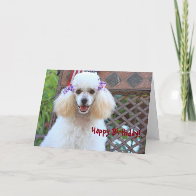 Happy Toy Poodle Dog  greeting card (Front)