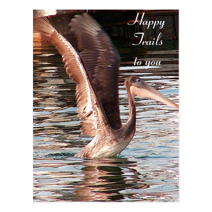 Happy Trails/ Missing You_ Postcard