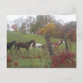 Happy Trails! Postcard