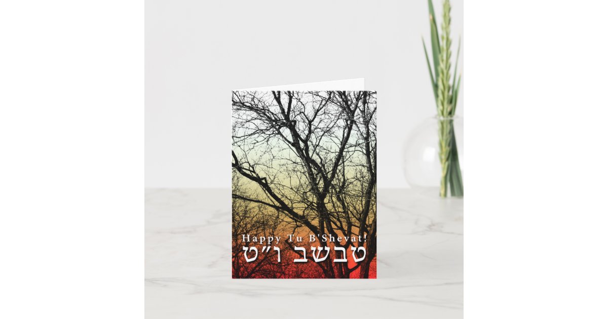 Happy Tu B’Shevat! Jewish Arbor Day Card Zazzle