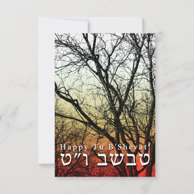 Happy Tu B’Shevat! : Jewish Arbor Day Invitation (Front)