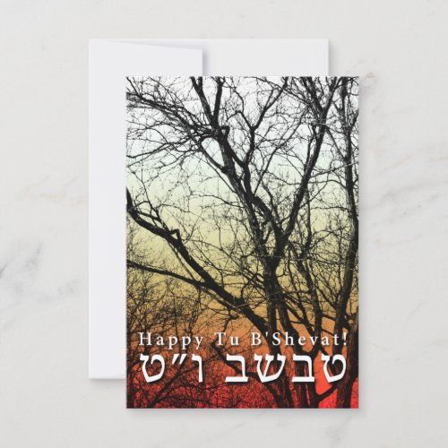 Happy Tu BShevat  Jewish Arbor Day Invitation