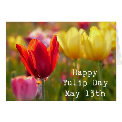 Happy Tulip Day May 13th Holidays Card