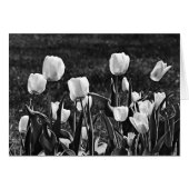 Happy Tulips Black and White (Front Horizontal)
