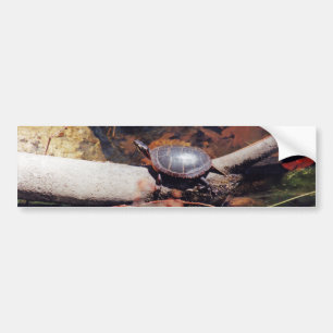 Happy Turtle Bumper Sticker