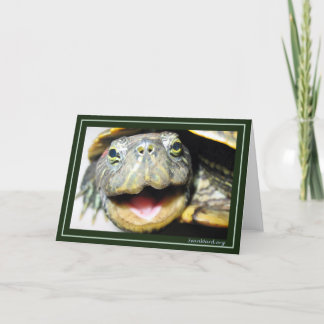 Happy Turtle Card