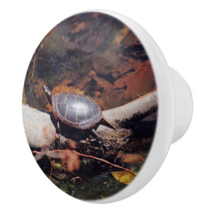 Happy Turtle Ceramic Knob