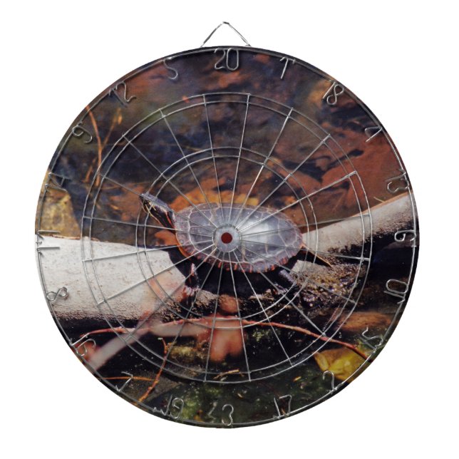 Happy Turtle Dartboard (Front)
