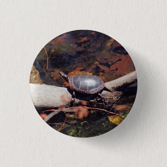 Happy Turtle Pinback Button (Front)