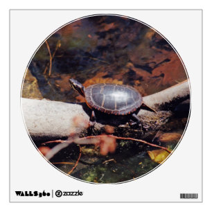 Happy Turtle Wall Sticker
