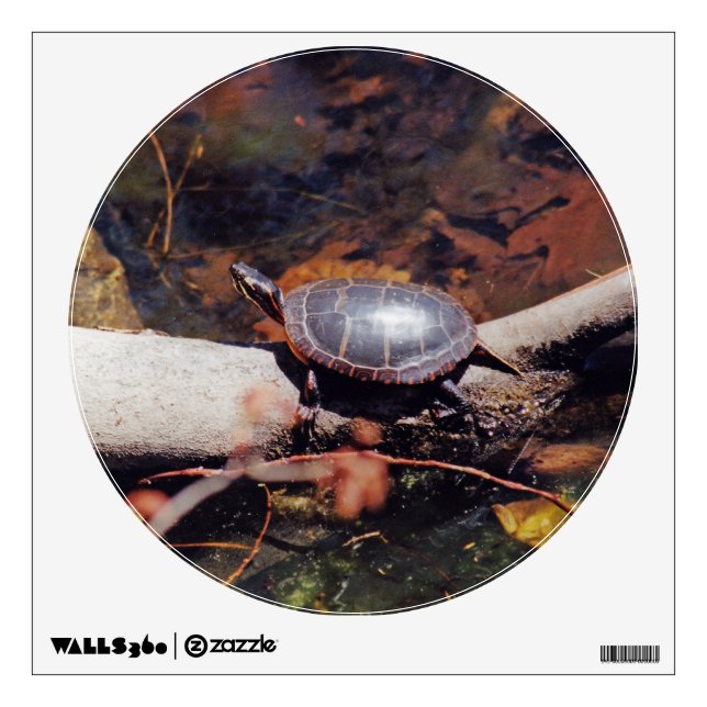 Happy Turtle Wall Sticker (Front)