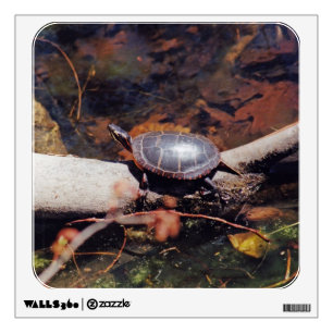 Happy Turtle Wall Sticker