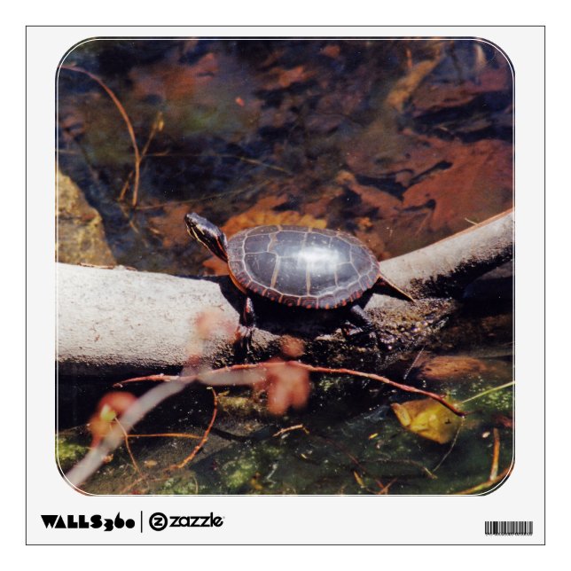 Happy Turtle Wall Sticker (Front)