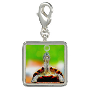 Happy turtle with bubble charm