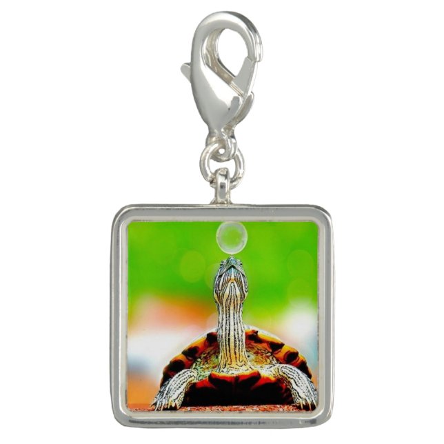 Happy turtle with bubble charm (Front)