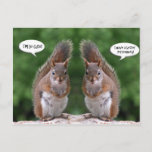 Happy Twins Day, Red Squirrel Humor, Cute And Pers Postcard at Zazzle