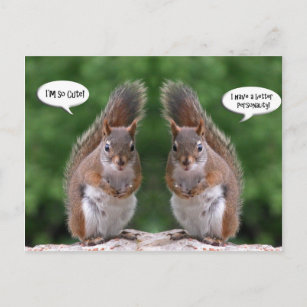 Happy Twins Day, Red Squirrel Humor, Cute and Pers Postcard