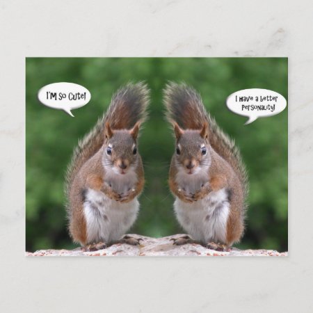 Happy Twins Day, Red Squirrel Humor, Cute And Pers Postcard