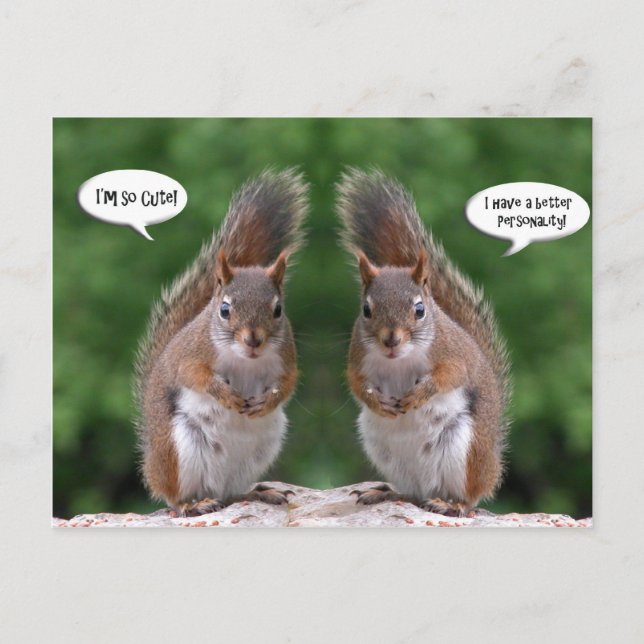 Happy Twins Day, Red Squirrel Humor, Cute and Pers Postcard (Front)