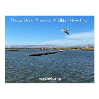 Happy Urban National Wildlife Refuge Day! Postcard