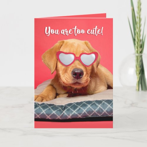Happy Valeneitnes Day Cute Labrador Puppy Humor Holiday Card