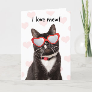 Happy Valeneitne's Day I Love Mew Cute Cat Holiday Card