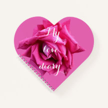 Happy Valentine gift pretty hot pink rose floral