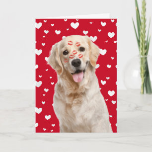 Happy Valentine Golden Retriever Card
