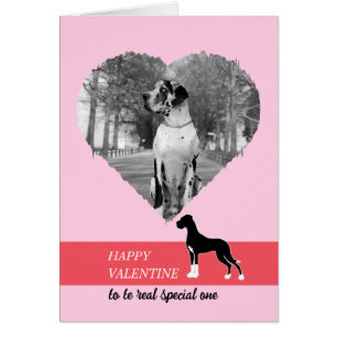 Happy Valentine my Great DAne Cards