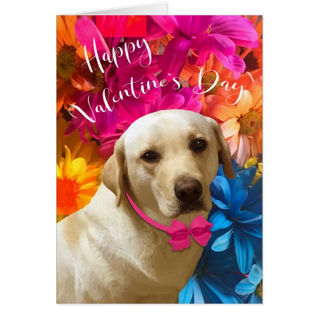 Happy Valentine Pet, Dog, Cute Labrador Flowers (Front)