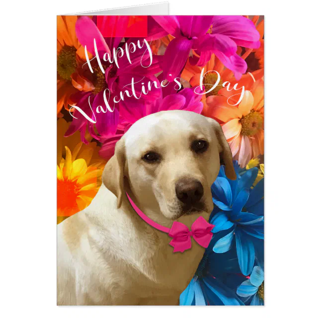 Happy Valentine Pet, Dog, Cute Labrador Flowers Zazzle