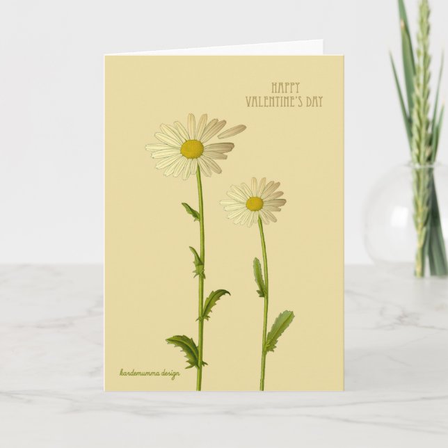 Happy Valentine's - daisies Holiday Card (Front)