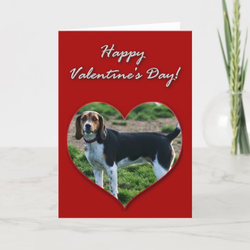 Happy Valentines Day Beagle Dog Greeting Card