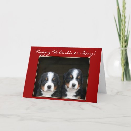 Happy Valentines Day Bernese Mountain Dog card