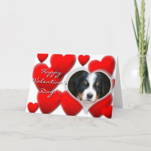 Happy Valentines Day Bernese Mountain Dog card