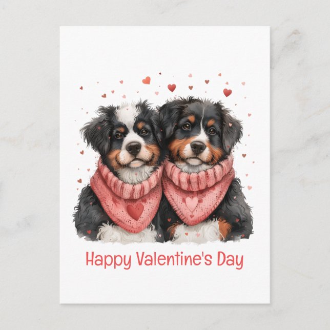 Happy Valentines Day Bernese Mountain Dogs Postcard (Front)