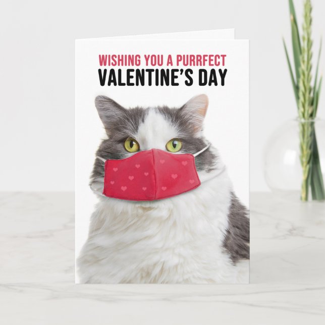Happy Valentine's Day Big Cat in Face Mask Holiday Card (Front)