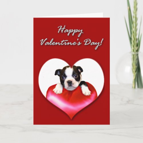 Happy Valentines Day Boston Terrier card