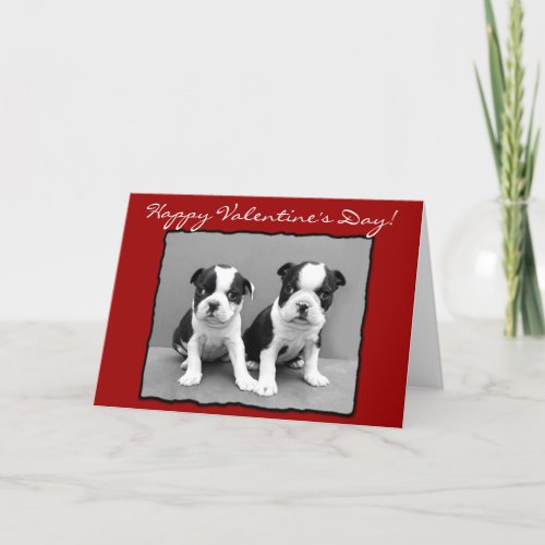 Happy Valentines Day Boston Terrier Greeting Card