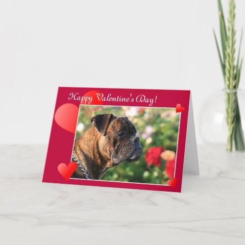 Happy Valentines Day Boxer Dog greeting card