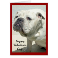 Happy Valentine's Day bulldog greeting card