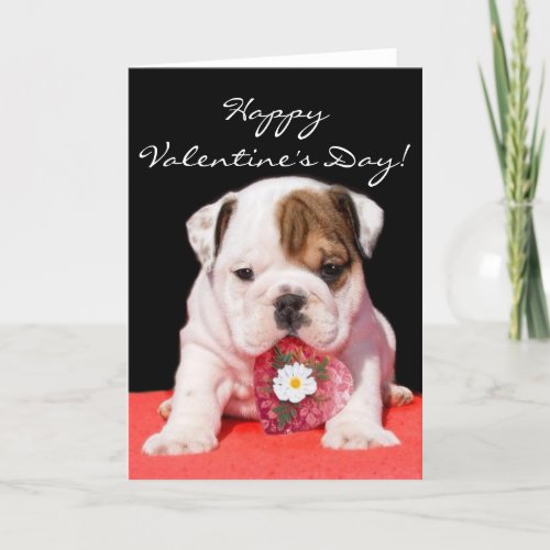 Happy Valentines Day bulldog puppy greeting card