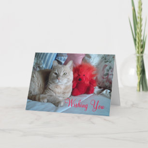 Happy Valentine's Day Card