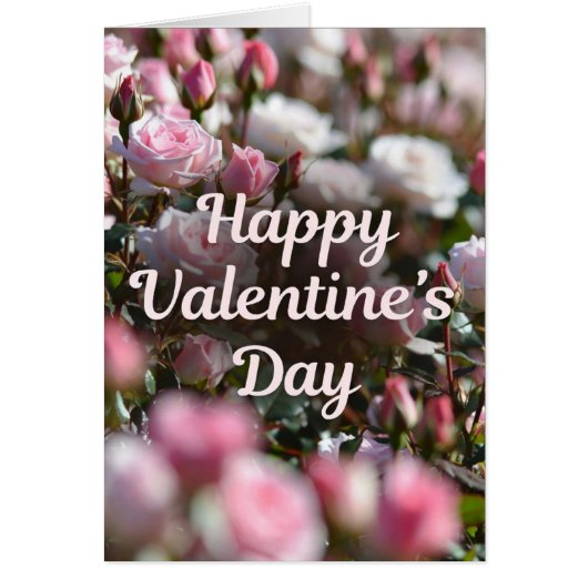 Happy Valentine's Day Cards (Front)