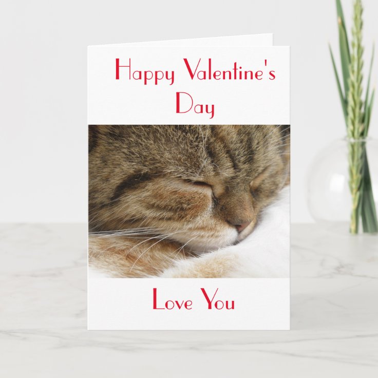 funny valentines day cat cards