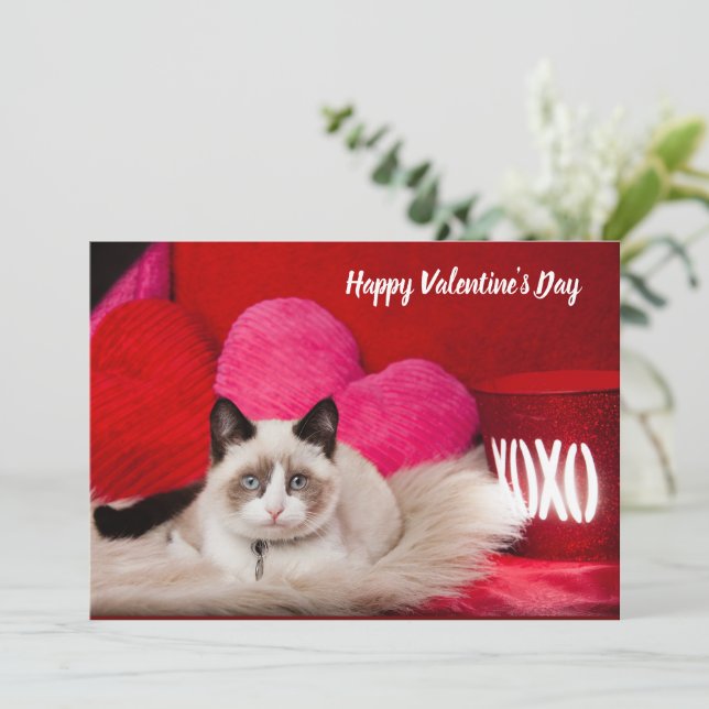 Happy Valentine's Day cat flat card (Standing Front)