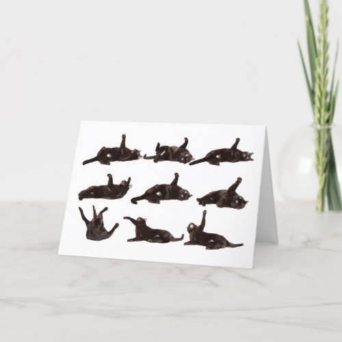 Happy Valentines Day Cat on Catnip Rolling Humor Holiday Card